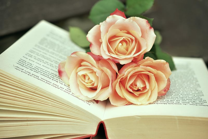 Reading Books